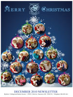 Download Renfrew Collingwood Seniors Society newsletter